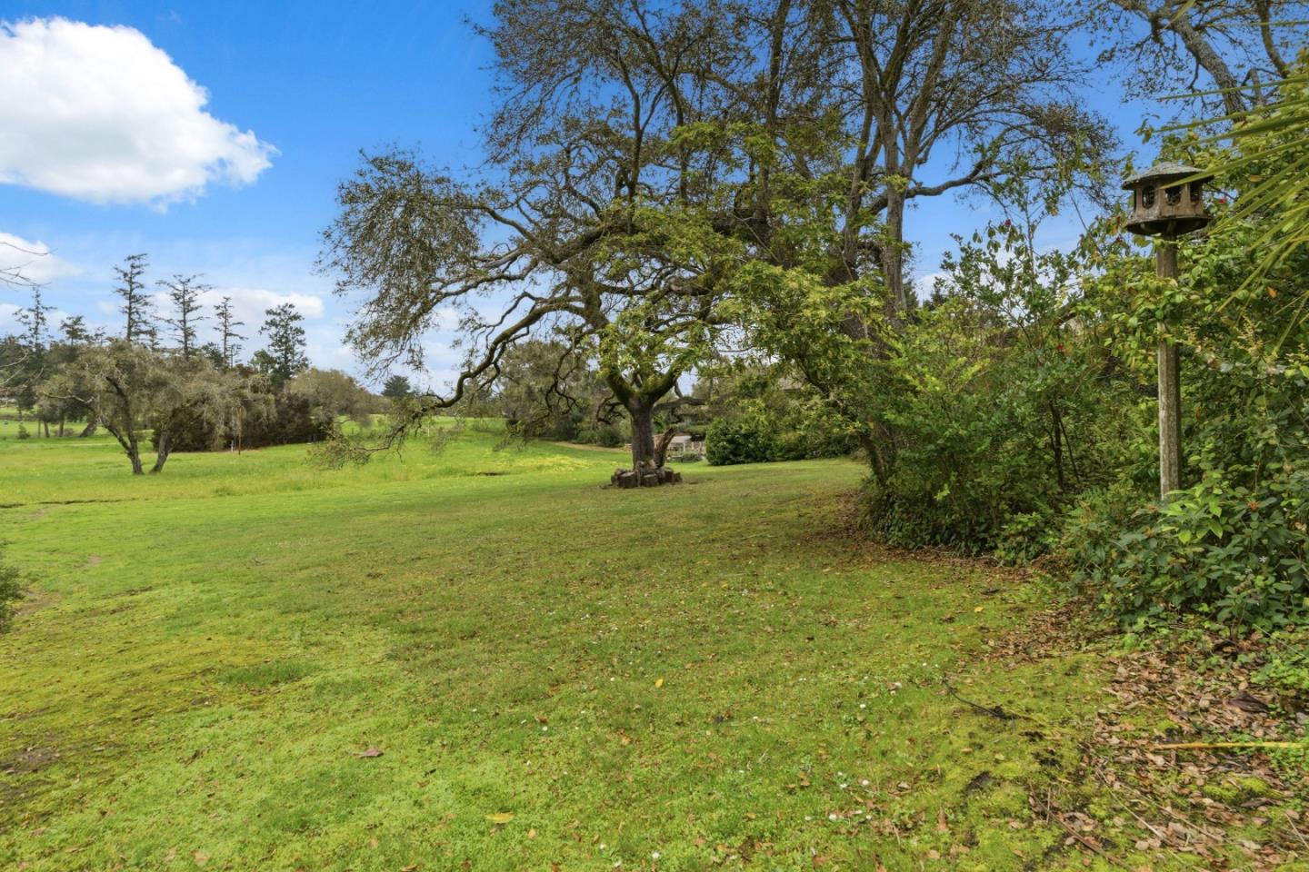 Detail Gallery Image 31 of 61 For 960 Graham Hill Rd, Santa Cruz,  CA 95060 - 2 Beds | 2 Baths