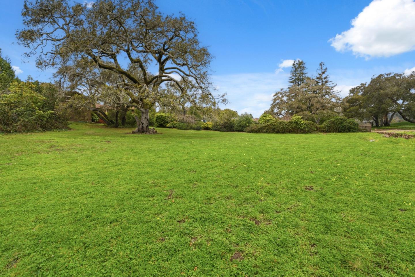 Detail Gallery Image 32 of 61 For 960 Graham Hill Rd, Santa Cruz,  CA 95060 - 2 Beds | 2 Baths