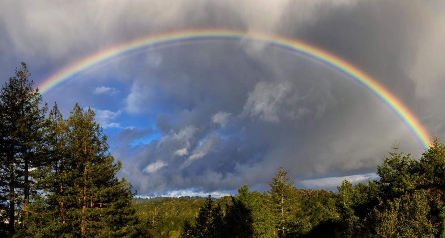 Detail Gallery Image 50 of 66 For 645 Skyward Dr, Aptos,  CA 95003 - 3 Beds | 2 Baths