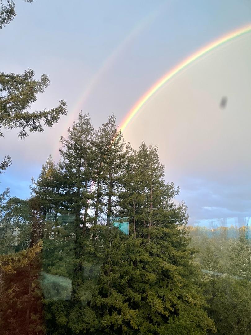 Detail Gallery Image 7 of 66 For 645 Skyward Dr, Aptos,  CA 95003 - 3 Beds | 2 Baths