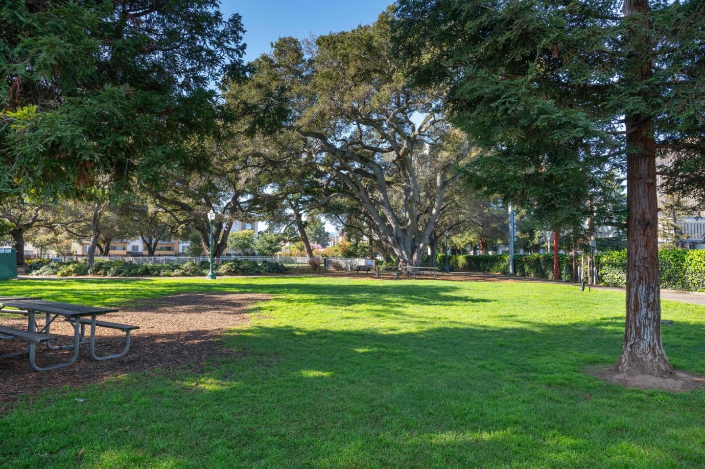 Photo #21: ML82035283 Listing: Photo #21