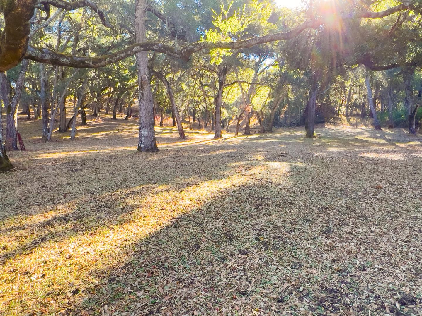 Front Image Thumbnail for ML82035327