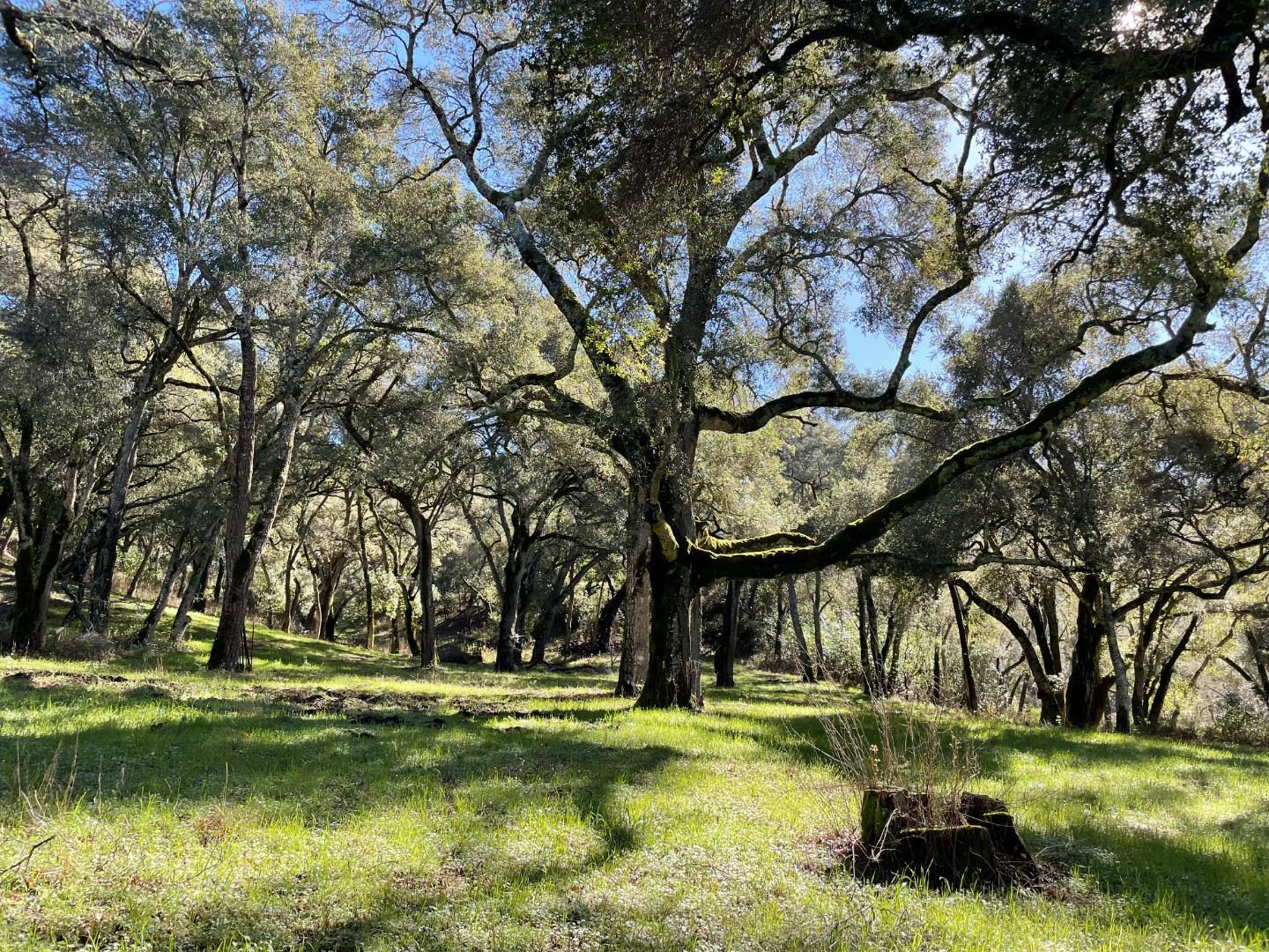 Detail Gallery Image 6 of 6 For 10 Garzas Trl, Carmel Valley,  CA 93923 - – Beds | – Baths