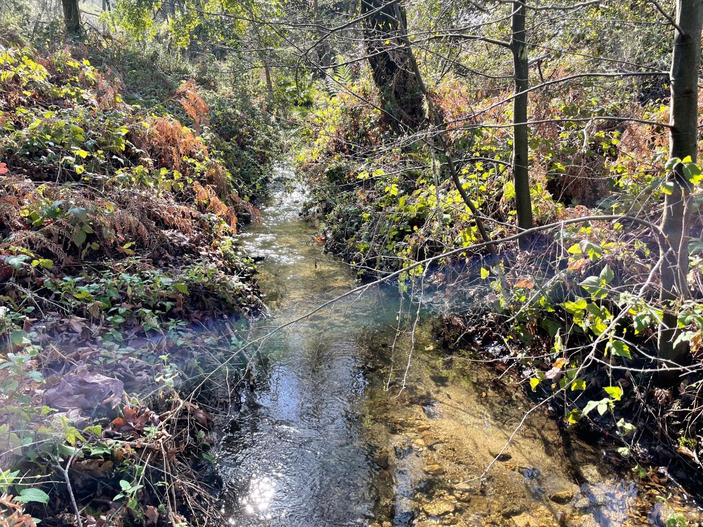 Detail Gallery Image 7 of 10 For 10 Garzas Trl, Carmel Valley,  CA 93923 - – Beds | – Baths