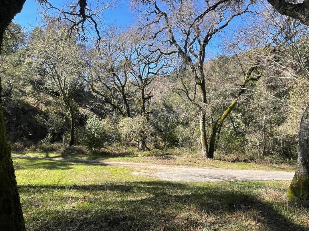 Detail Gallery Image 9 of 10 For 10 Garzas Trl, Carmel Valley,  CA 93923 - – Beds | – Baths