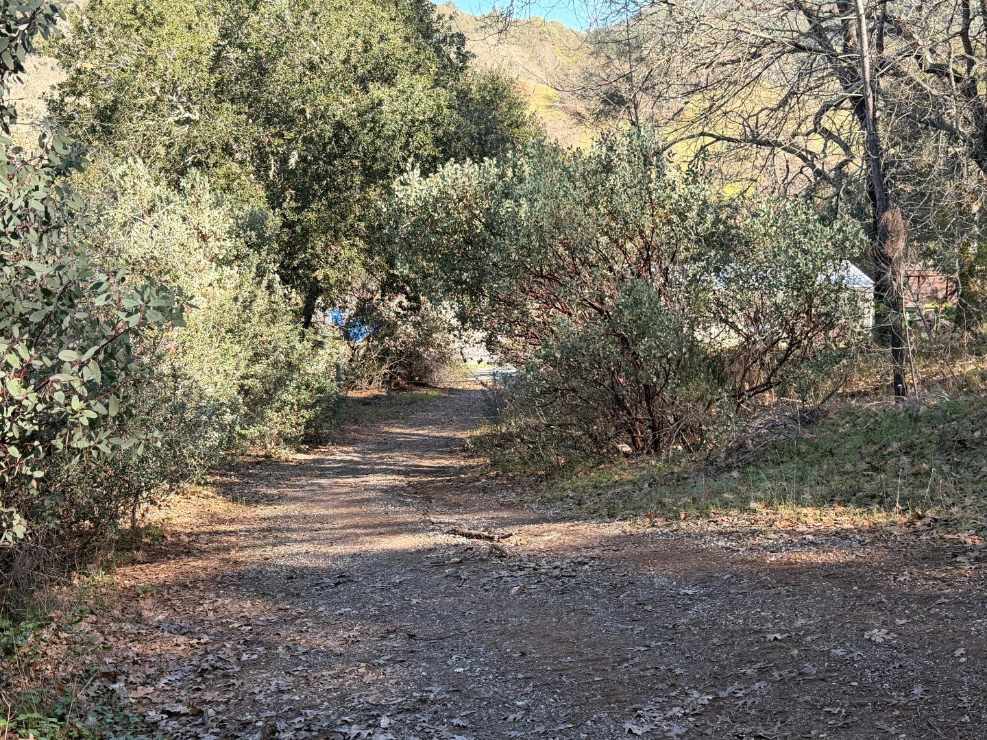 Detail Gallery Image 10 of 11 For 15805 Uvas Rd, Morgan Hill,  CA 95037 - – Beds | – Baths