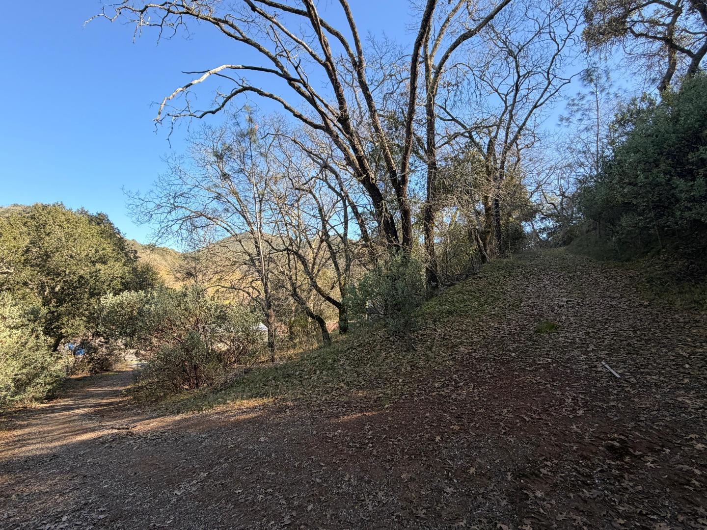 Detail Gallery Image 11 of 11 For 15805 Uvas Rd, Morgan Hill,  CA 95037 - – Beds | – Baths