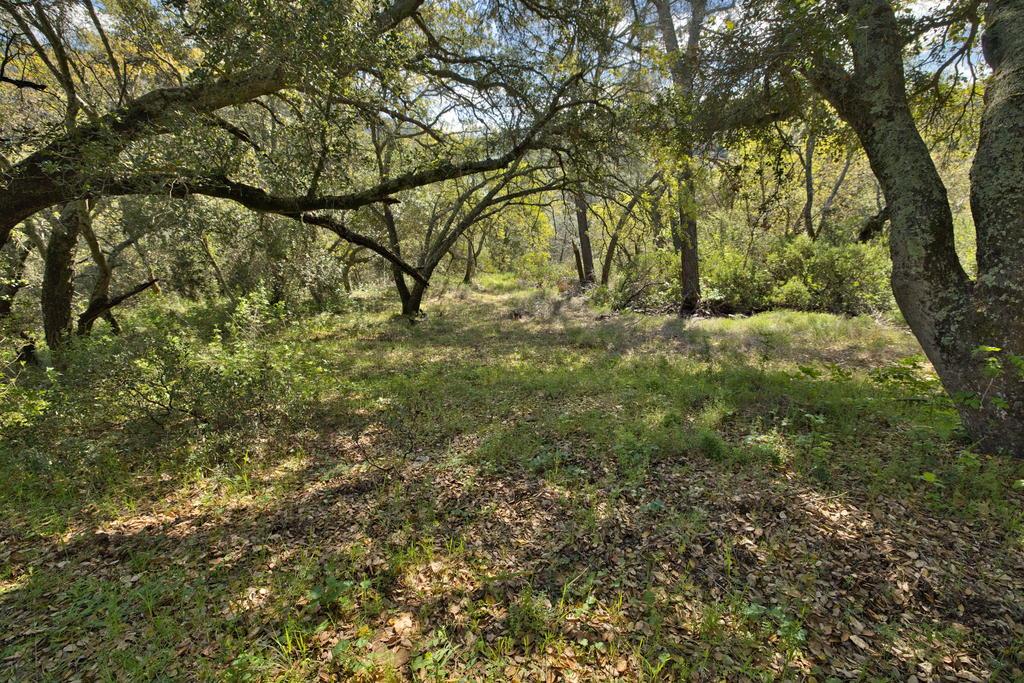 Detail Gallery Image 12 of 41 For 15805 Uvas Rd, Morgan Hill,  CA 95037 - – Beds | – Baths