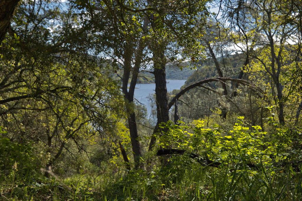 Detail Gallery Image 14 of 41 For 15805 Uvas Rd, Morgan Hill,  CA 95037 - – Beds | – Baths