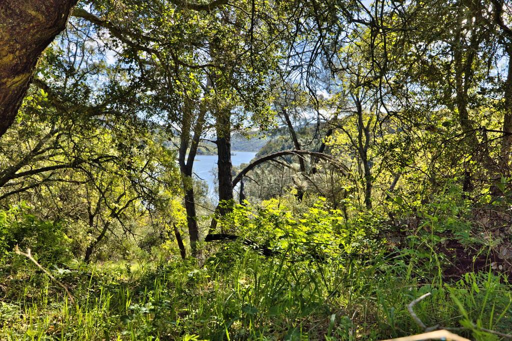 Detail Gallery Image 15 of 41 For 15805 Uvas Rd, Morgan Hill,  CA 95037 - – Beds | – Baths