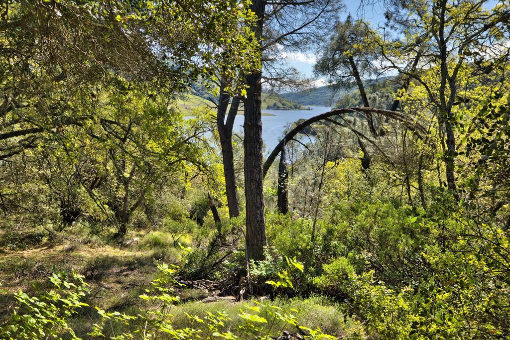 Detail Gallery Image 16 of 41 For 15805 Uvas Rd, Morgan Hill,  CA 95037 - – Beds | – Baths