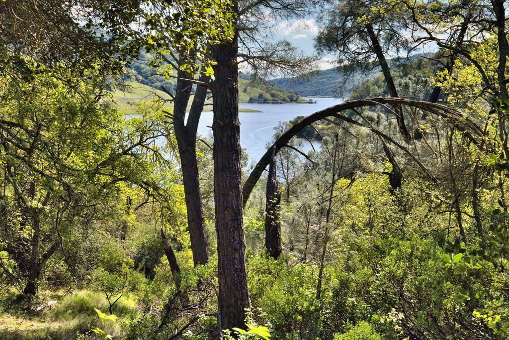 Detail Gallery Image 17 of 41 For 15805 Uvas Rd, Morgan Hill,  CA 95037 - – Beds | – Baths