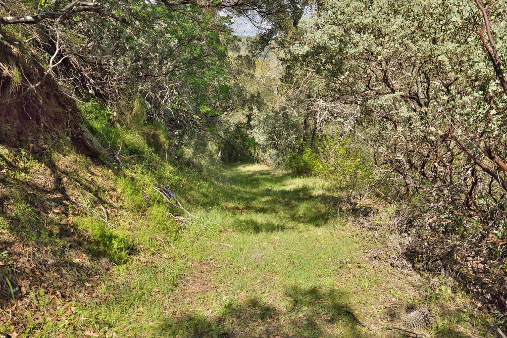 Detail Gallery Image 27 of 41 For 15805 Uvas Rd, Morgan Hill,  CA 95037 - – Beds | – Baths