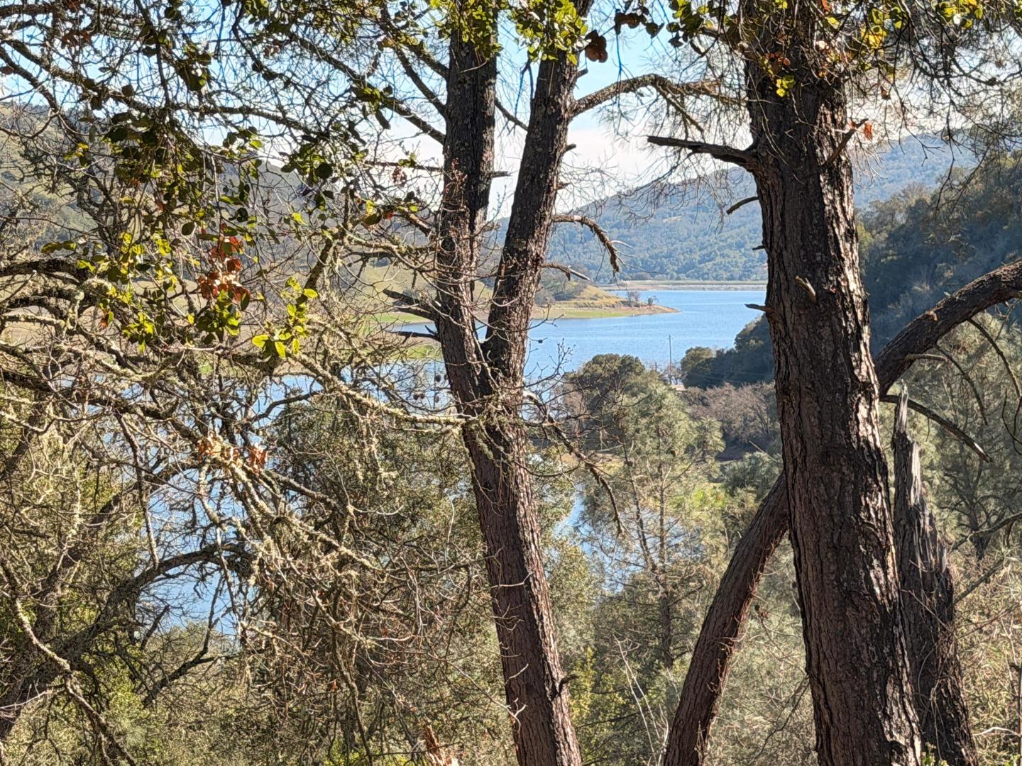 Detail Gallery Image 6 of 11 For 15805 Uvas Rd, Morgan Hill,  CA 95037 - – Beds | – Baths