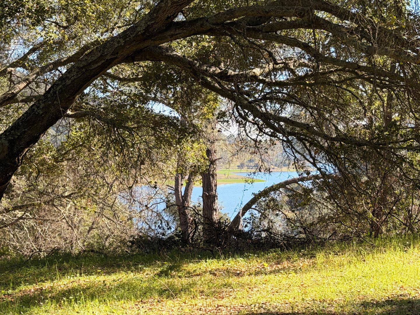 Detail Gallery Image 8 of 11 For 15805 Uvas Rd, Morgan Hill,  CA 95037 - – Beds | – Baths