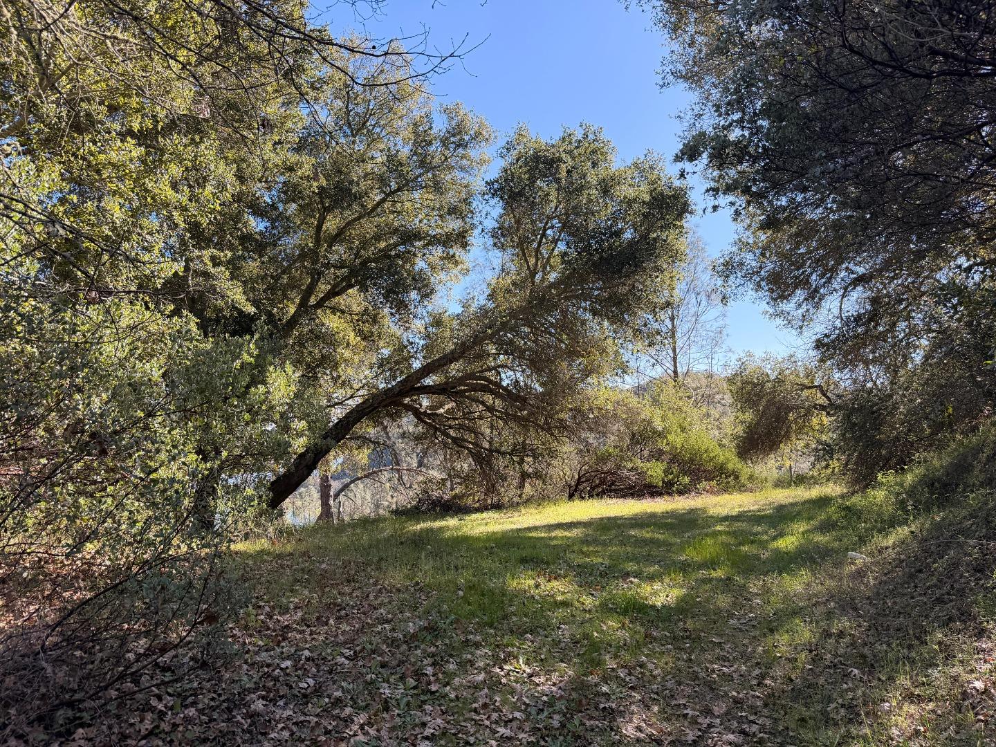 Detail Gallery Image 9 of 11 For 15805 Uvas Rd, Morgan Hill,  CA 95037 - – Beds | – Baths