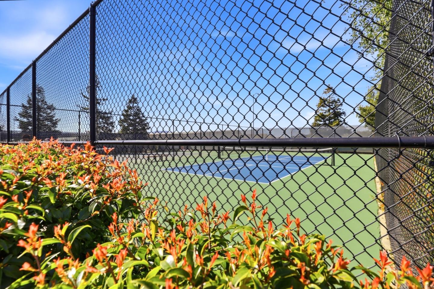 Detail Gallery Image 46 of 50 For 19076 Savannah Ct, Morgan Hill,  CA 95037 - 4 Beds | 3/1 Baths