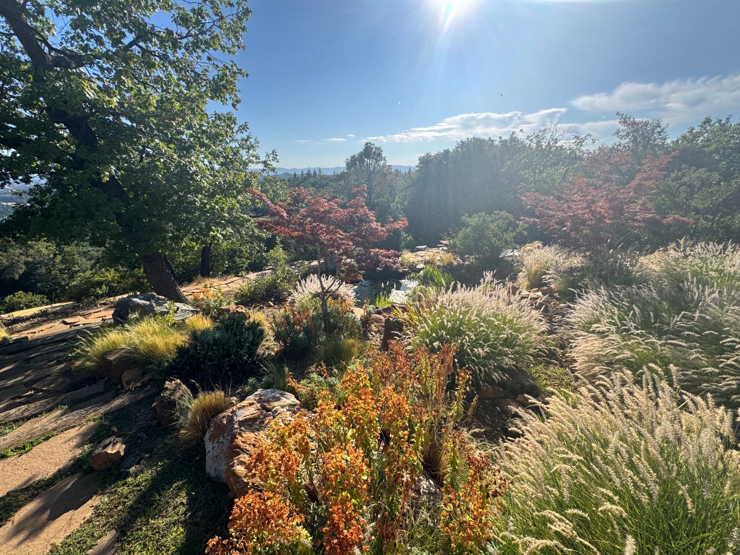 Detail Gallery Image 24 of 39 For 2251 Folendorf Rd, Murphys,  CA 95247 - 3 Beds | 2/1 Baths