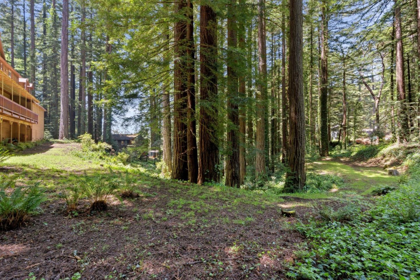 Detail Gallery Image 74 of 78 For 13872 Silver Sky Way, Woodside,  CA 94062 - 3 Beds | 2/1 Baths