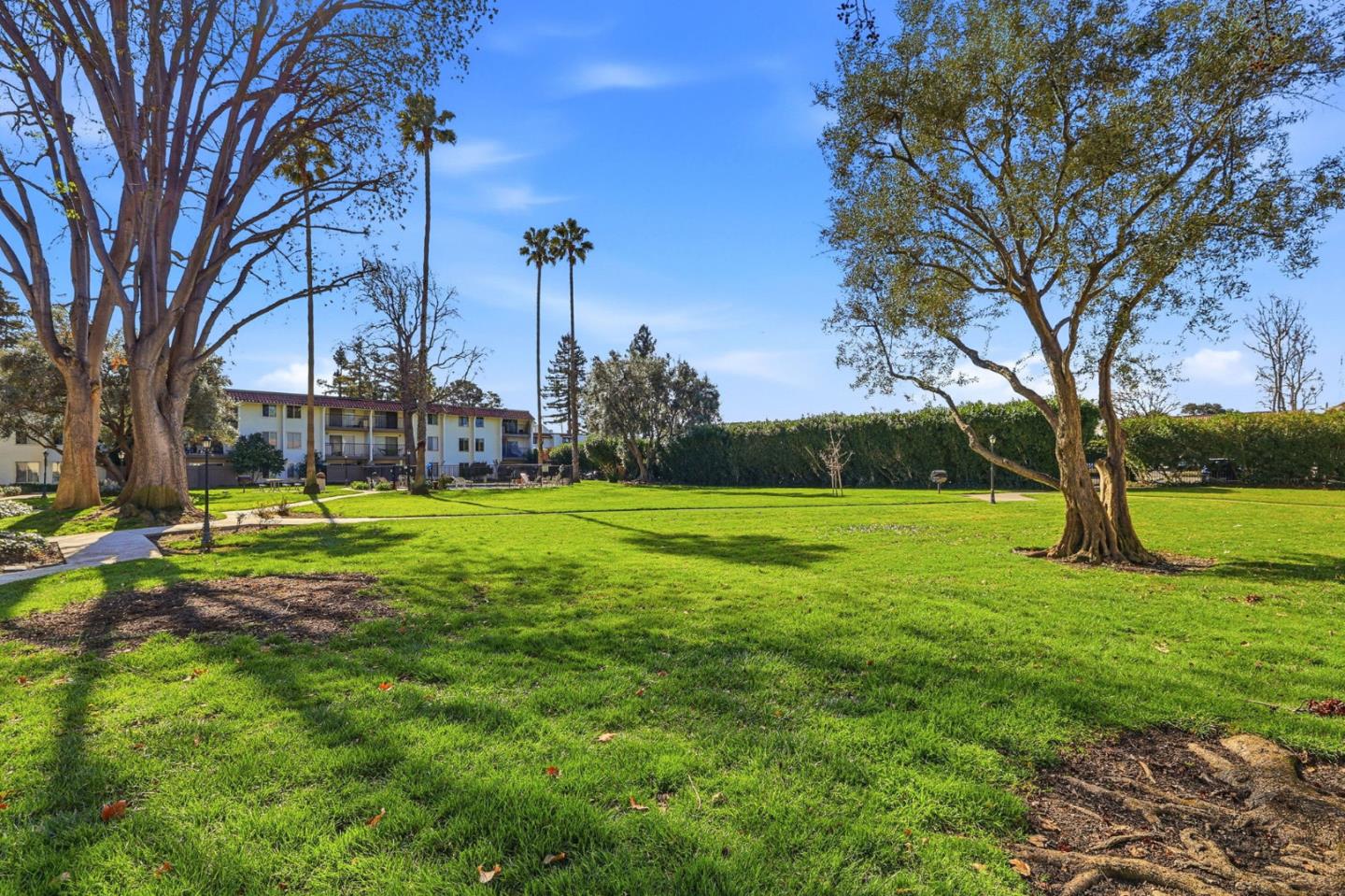 Detail Gallery Image 31 of 44 For 1750 Halford Ave #215,  Santa Clara,  CA 95051 - 1 Beds | 1 Baths