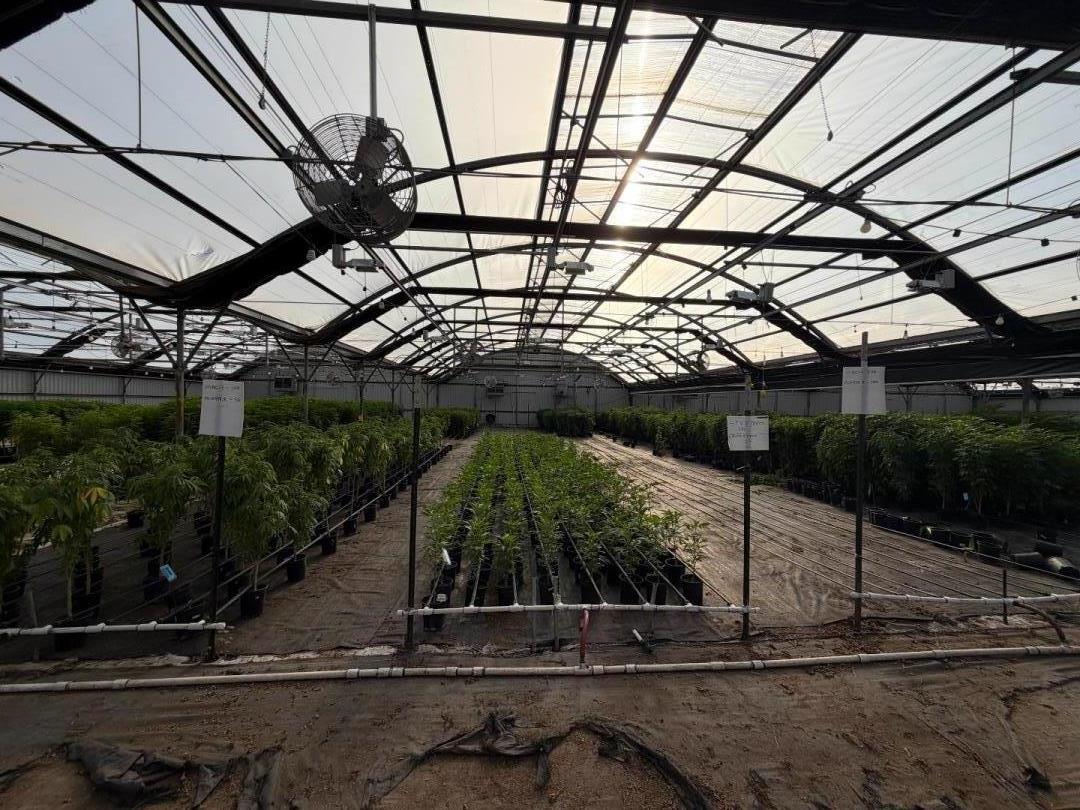 Detail Gallery Image 18 of 94 For 20180 Spence Rd, Salinas,  CA 93908 - – Beds | – Baths