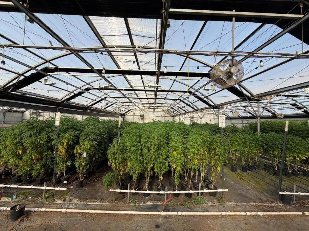 Detail Gallery Image 19 of 94 For 20180 Spence Rd, Salinas,  CA 93908 - – Beds | – Baths