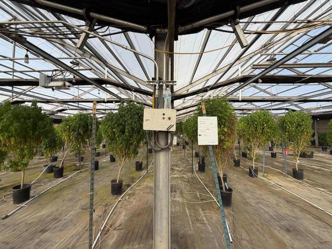 Detail Gallery Image 47 of 94 For 20180 Spence Rd, Salinas,  CA 93908 - – Beds | – Baths