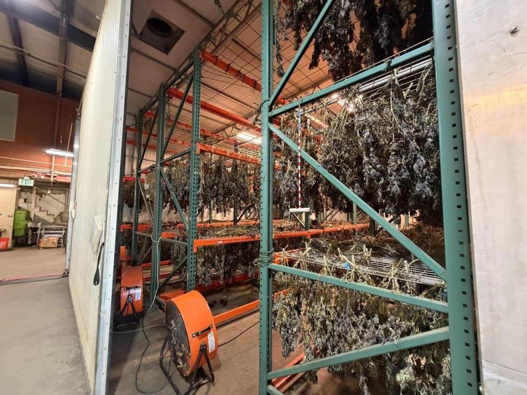 Detail Gallery Image 86 of 94 For 20180 Spence Rd, Salinas,  CA 93908 - – Beds | – Baths