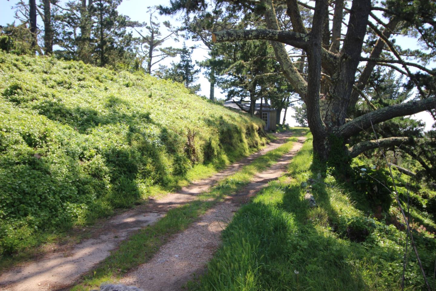 36260 Highway 1, Monterey, CA, 93940