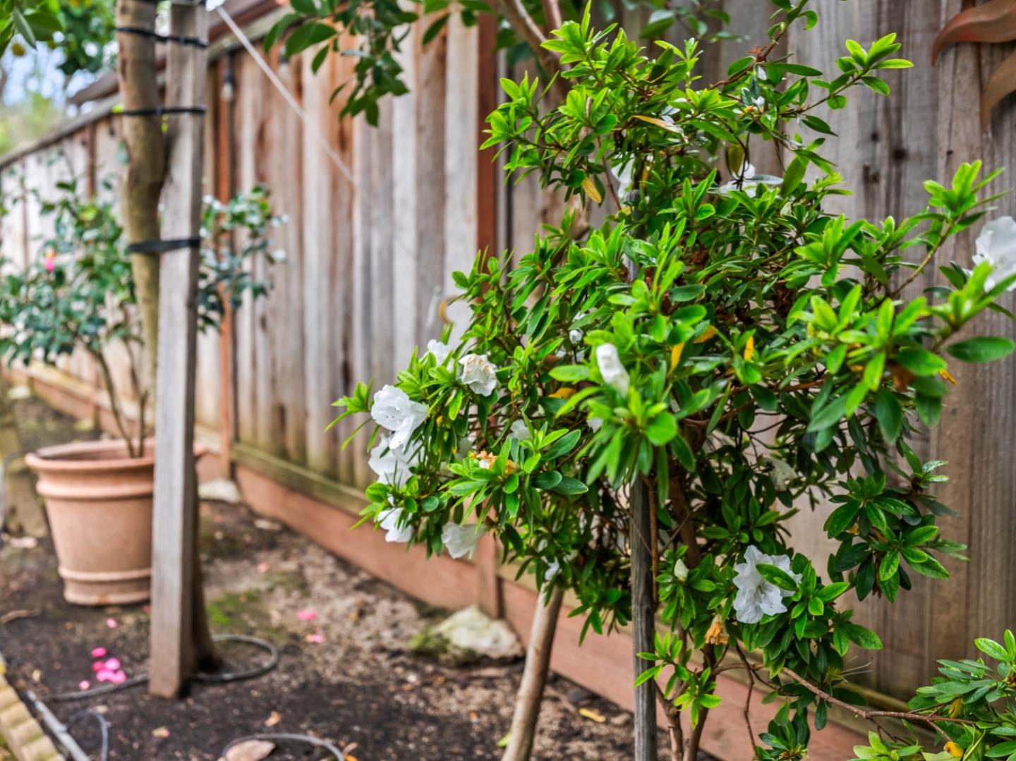 Detail Gallery Image 46 of 53 For 6979 Sessions Dr, San Jose,  CA 95119 - 3 Beds | 2 Baths