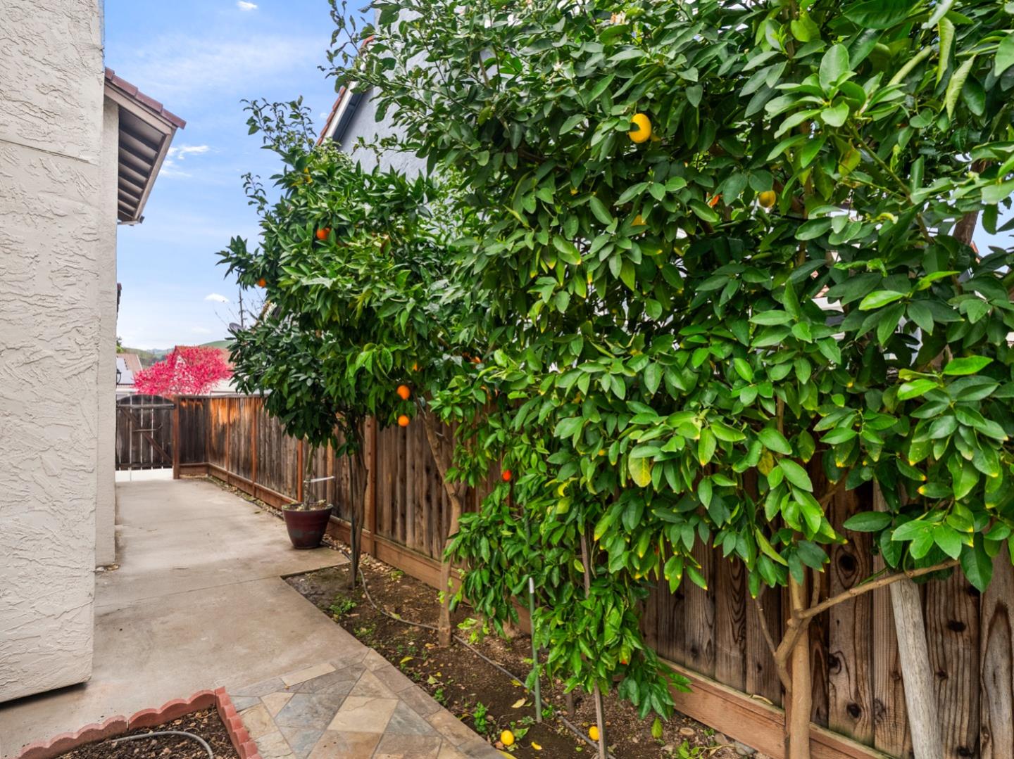 Detail Gallery Image 48 of 53 For 6979 Sessions Dr, San Jose,  CA 95119 - 3 Beds | 2 Baths