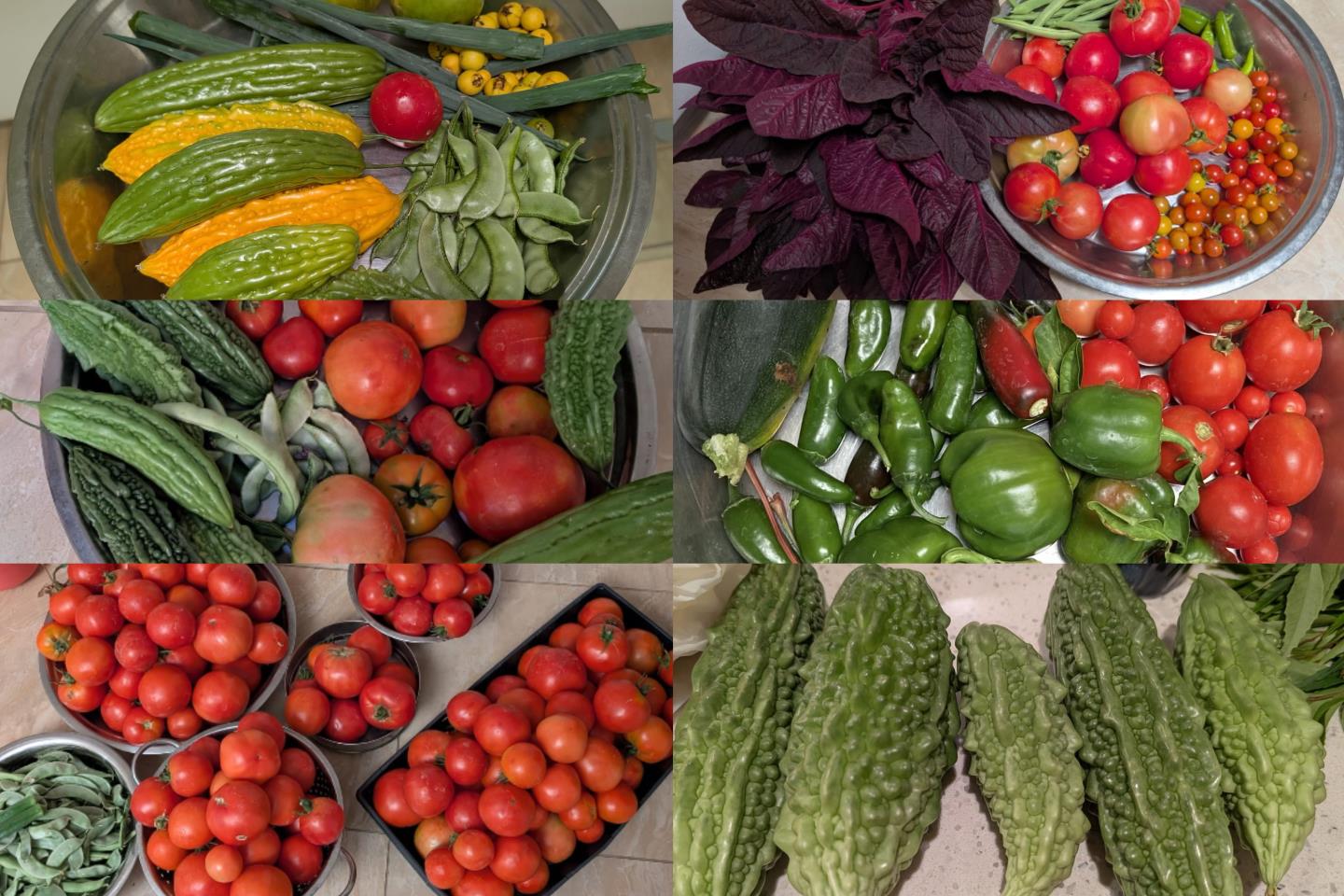 Detail Gallery Image 38 of 49 For 450 Stratford Park Ct, San Jose,  CA 95136 - 4 Beds | 2 Baths