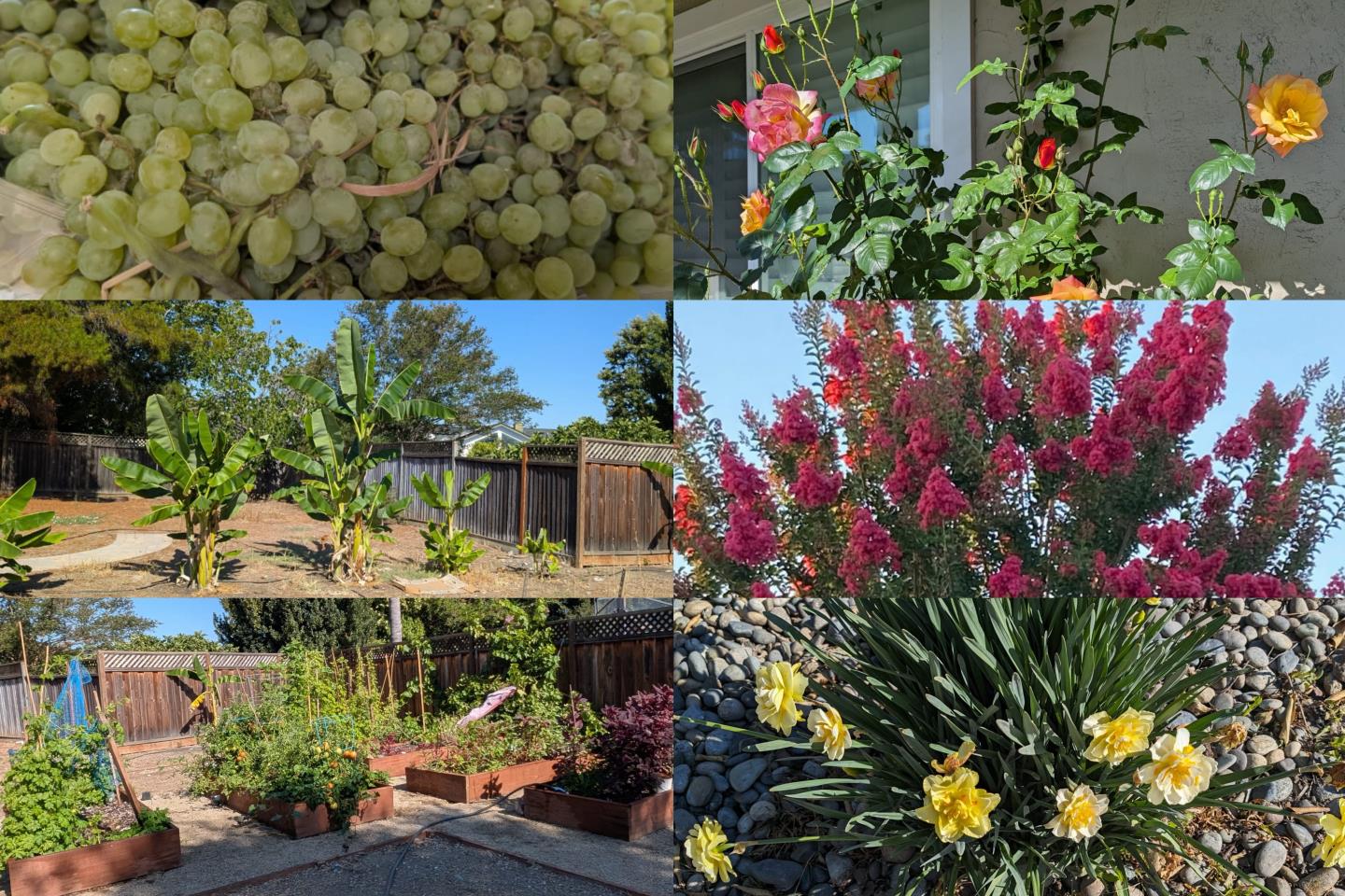 Detail Gallery Image 39 of 49 For 450 Stratford Park Ct, San Jose,  CA 95136 - 4 Beds | 2 Baths