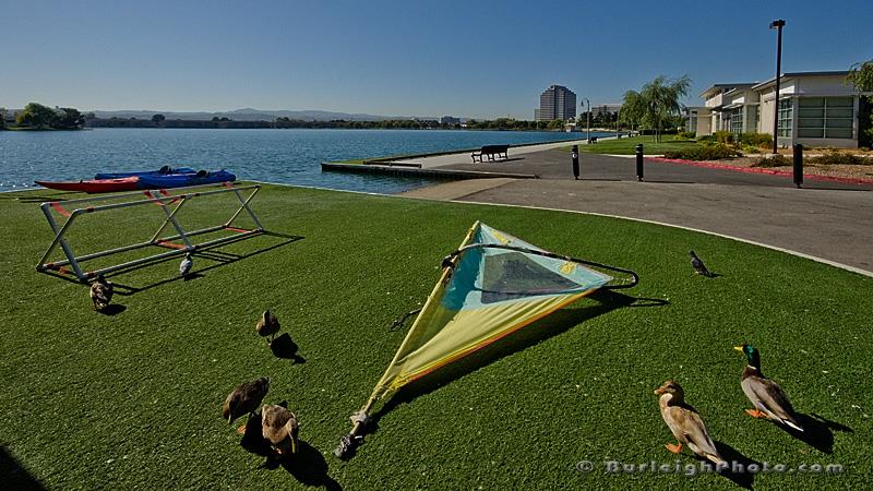 Detail Gallery Image 35 of 39 For 916 Beach Park Blvd #65,  Foster City,  CA 94404 - 2 Beds | 2 Baths