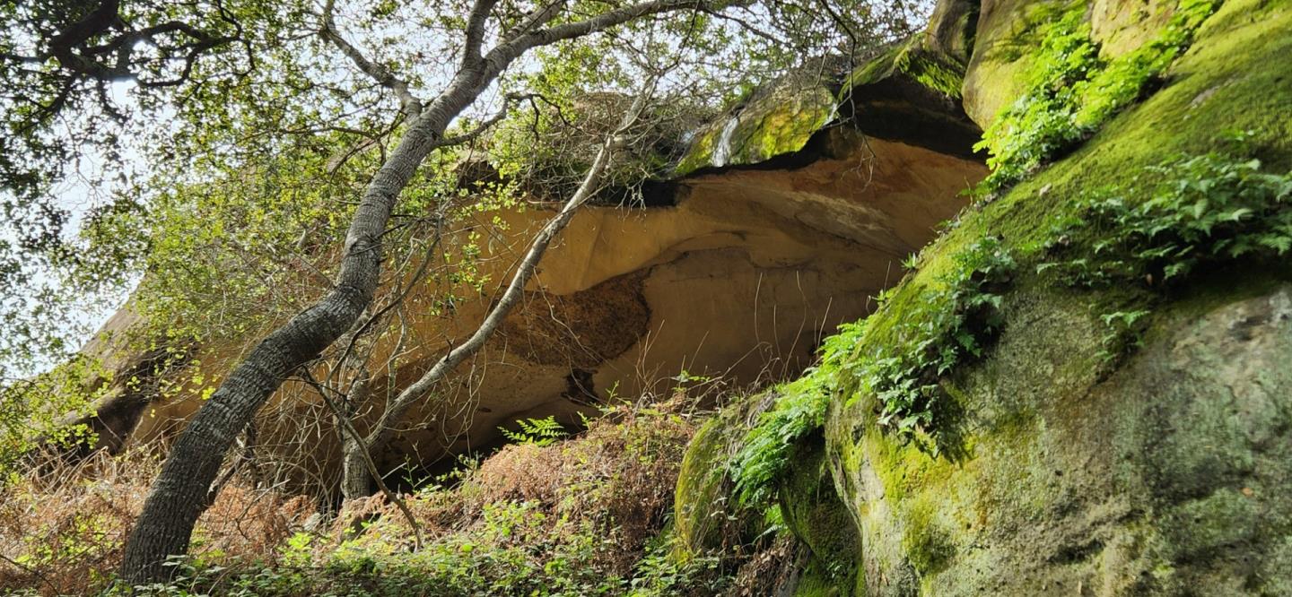 Detail Gallery Image 10 of 22 For 0 Salinas Salinas Rd, San Juan Bautista,  CA 95045 - – Beds | – Baths