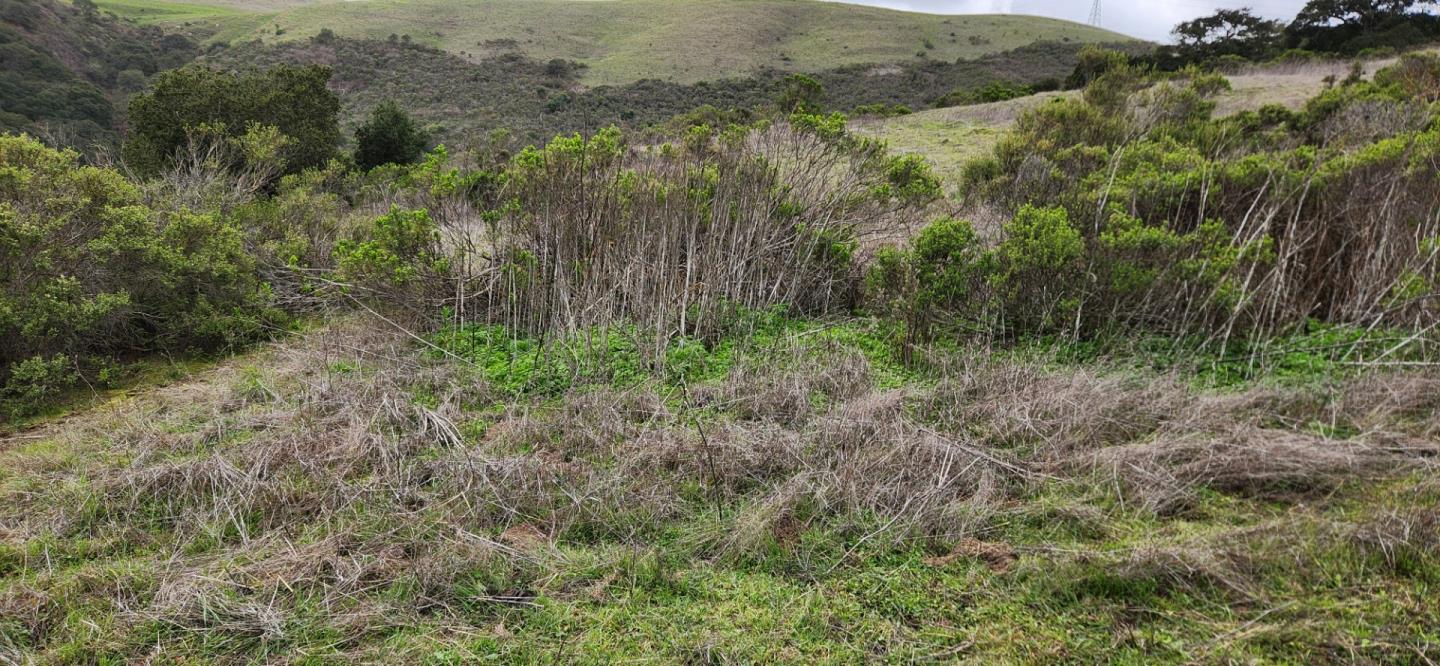 0 Salinas Road, San Juan Bautista, CA, 95045