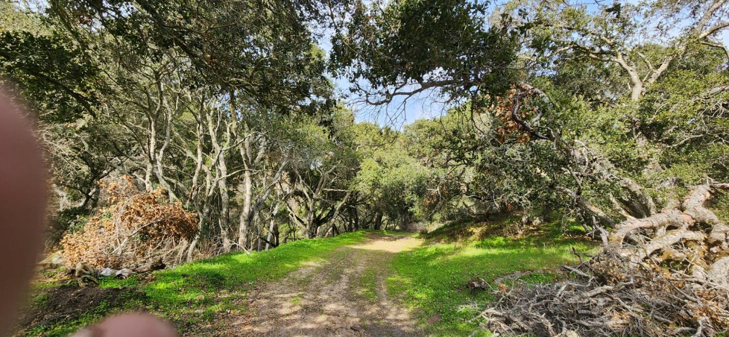 0 Salinas Road, San Juan Bautista, CA, 95045