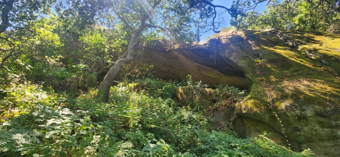 Detail Gallery Image 8 of 22 For 0 Salinas Salinas Rd, San Juan Bautista,  CA 95045 - – Beds | – Baths