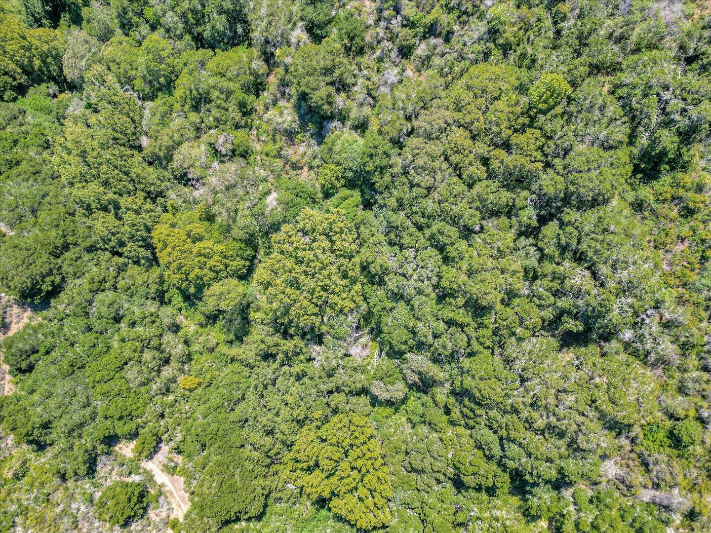 Detail Gallery Image 12 of 23 For 0 Devonshire Blvd, San Carlos,  CA 94070 - – Beds | – Baths