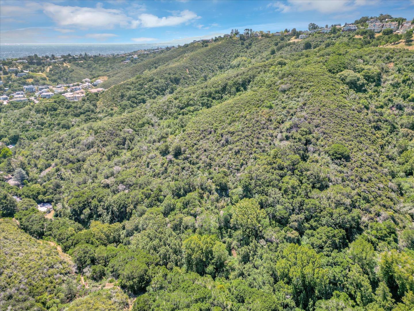 Detail Gallery Image 15 of 23 For 0 Devonshire Blvd, San Carlos,  CA 94070 - – Beds | – Baths