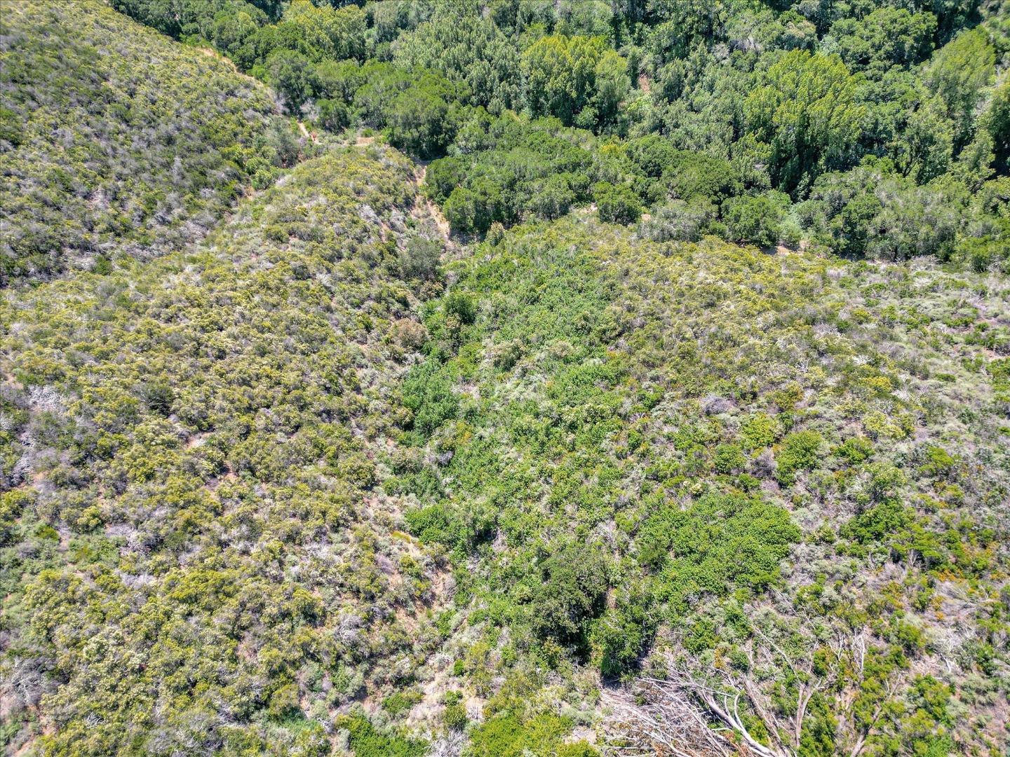 Detail Gallery Image 16 of 23 For 0 Devonshire Blvd, San Carlos,  CA 94070 - – Beds | – Baths