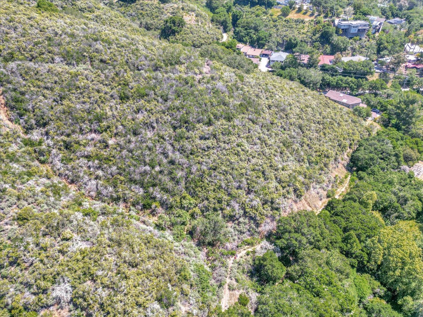 Detail Gallery Image 3 of 23 For 0 Devonshire Blvd, San Carlos,  CA 94070 - – Beds | – Baths