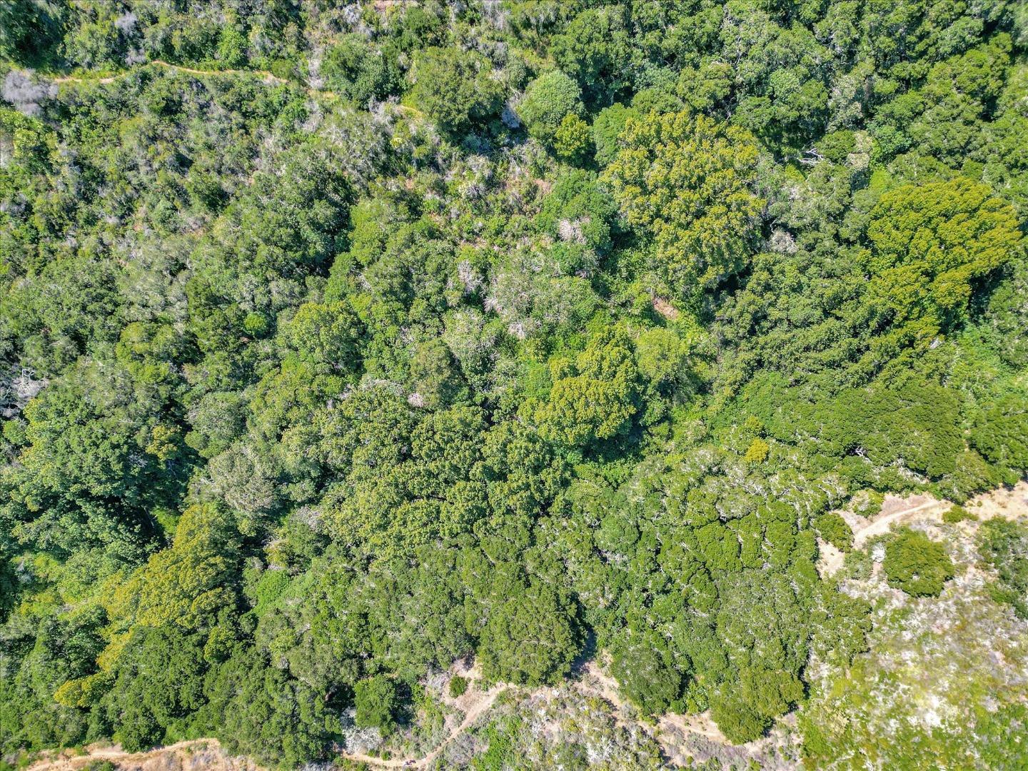 Detail Gallery Image 6 of 23 For 0 Devonshire Blvd, San Carlos,  CA 94070 - – Beds | – Baths