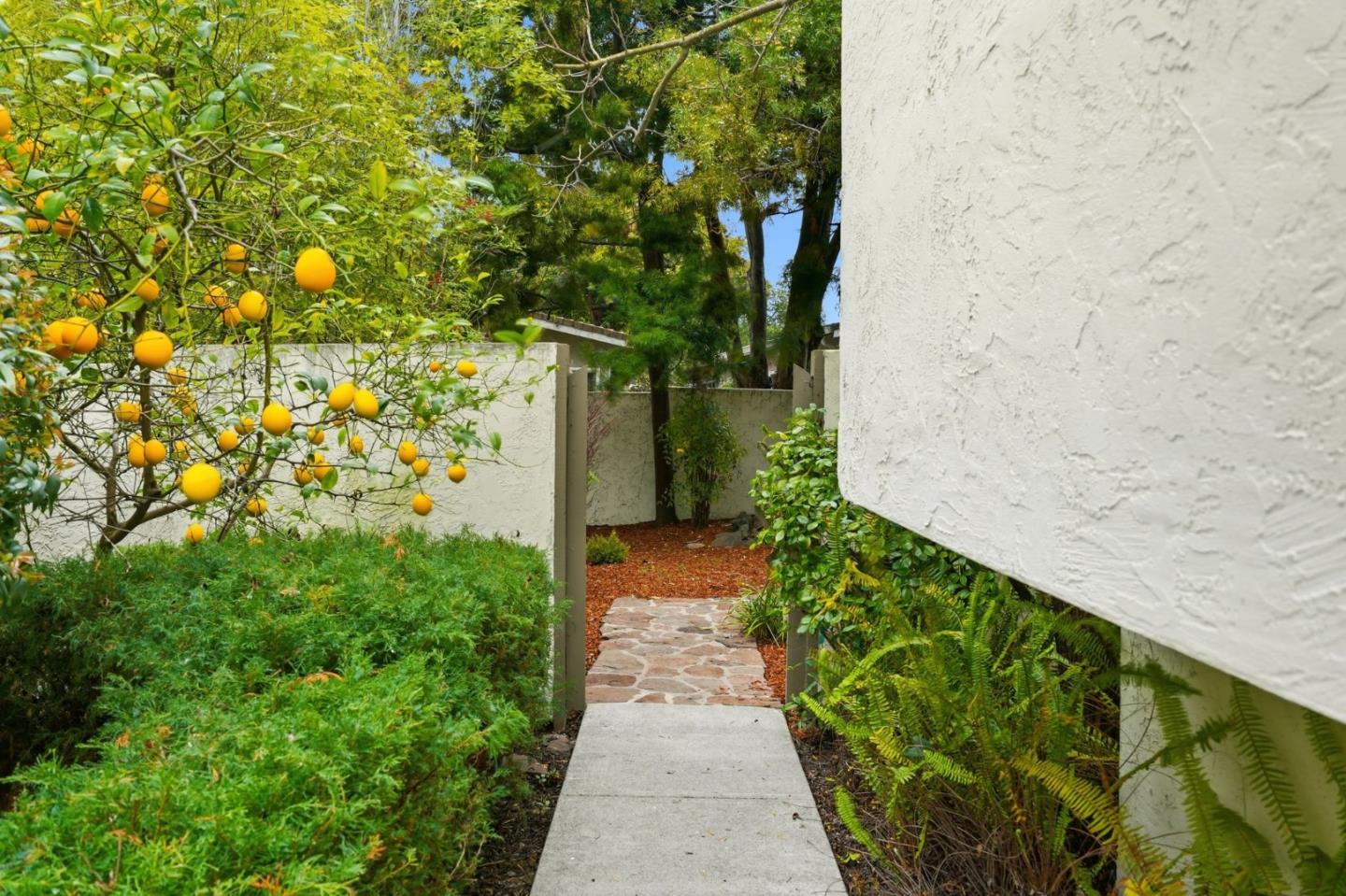 Detail Gallery Image 17 of 24 For 243 Sierra Vista Ave, Mountain View,  CA 94043 - 3 Beds | 2/1 Baths