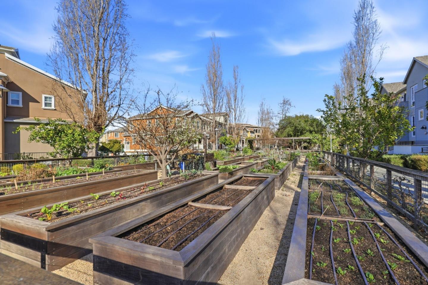 Detail Gallery Image 38 of 40 For 150 Hack Ross Ave, San Mateo,  CA 94403 - 4 Beds | 4 Baths