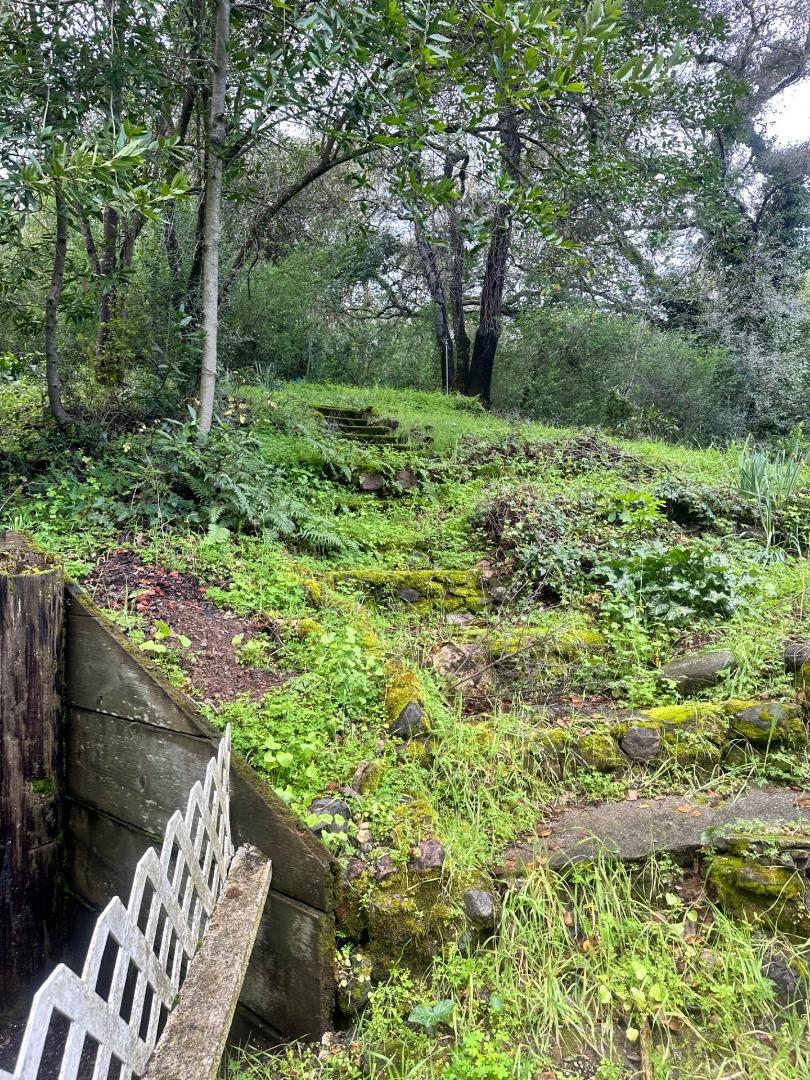 Detail Gallery Image 24 of 24 For 16220 Greenwood Rd, Monte Sereno,  CA 95030 - 4 Beds | 3 Baths