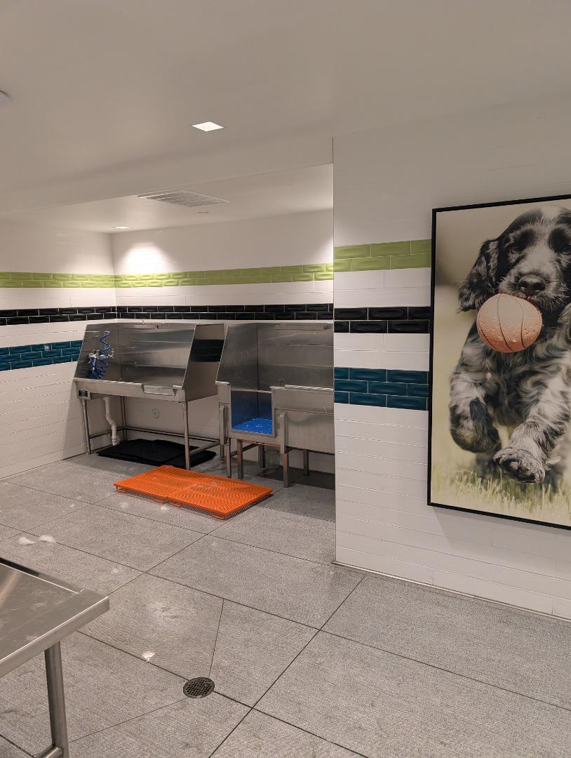 Detail Gallery Image 18 of 18 For 45128 Warm Springs Blvd #228,  Fremont,  CA 94539 - 2 Beds | 2 Baths