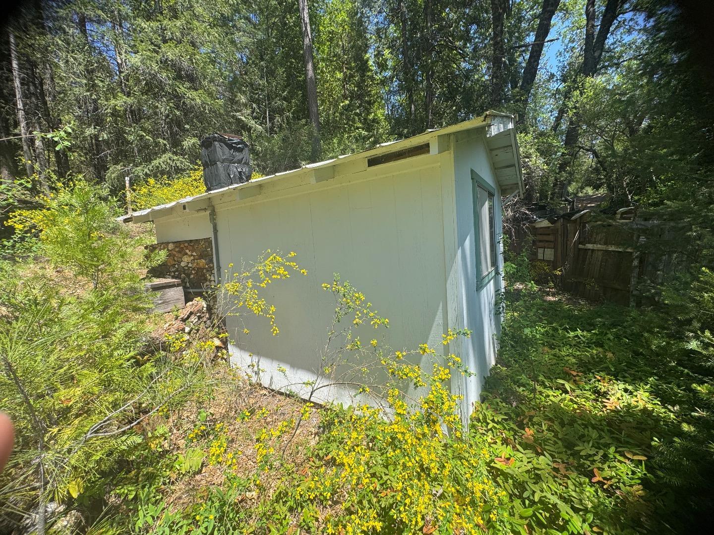 Detail Gallery Image 25 of 25 For 9225 La Porte Rd, Brownsville,  CA 95919 - 2 Beds | 2 Baths