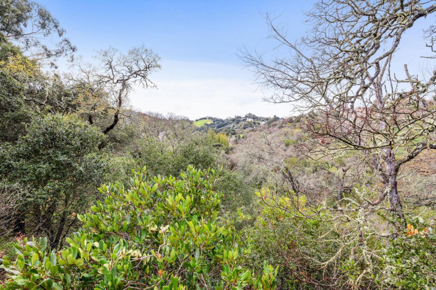 Detail Gallery Image 13 of 83 For 24292 Elise Ct, Los Altos Hills,  CA 94024 - 6 Beds | 5/2 Baths