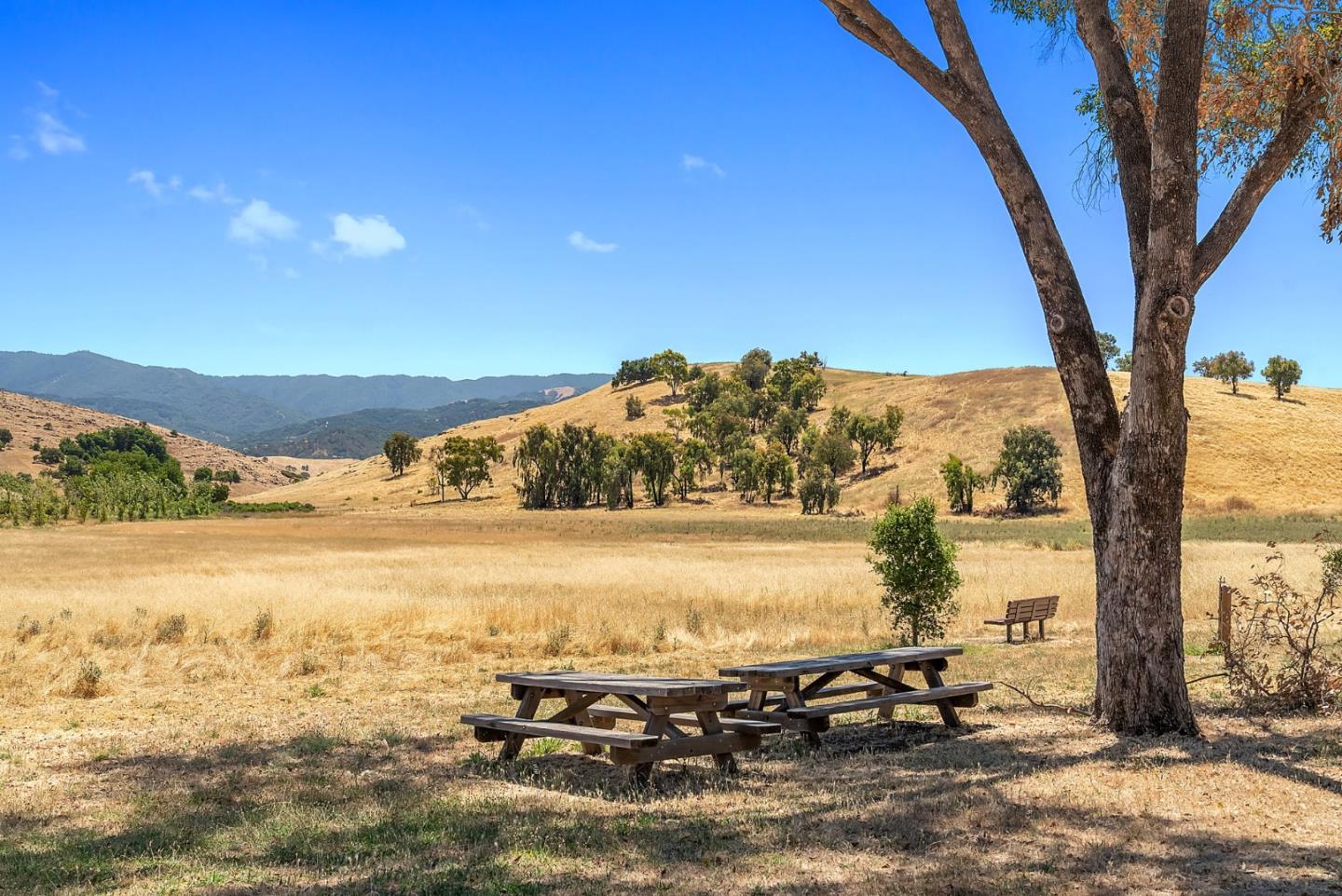 Detail Gallery Image 43 of 48 For 779 Vereda Ct, San Jose,  CA 95123 - 5 Beds | 2/1 Baths